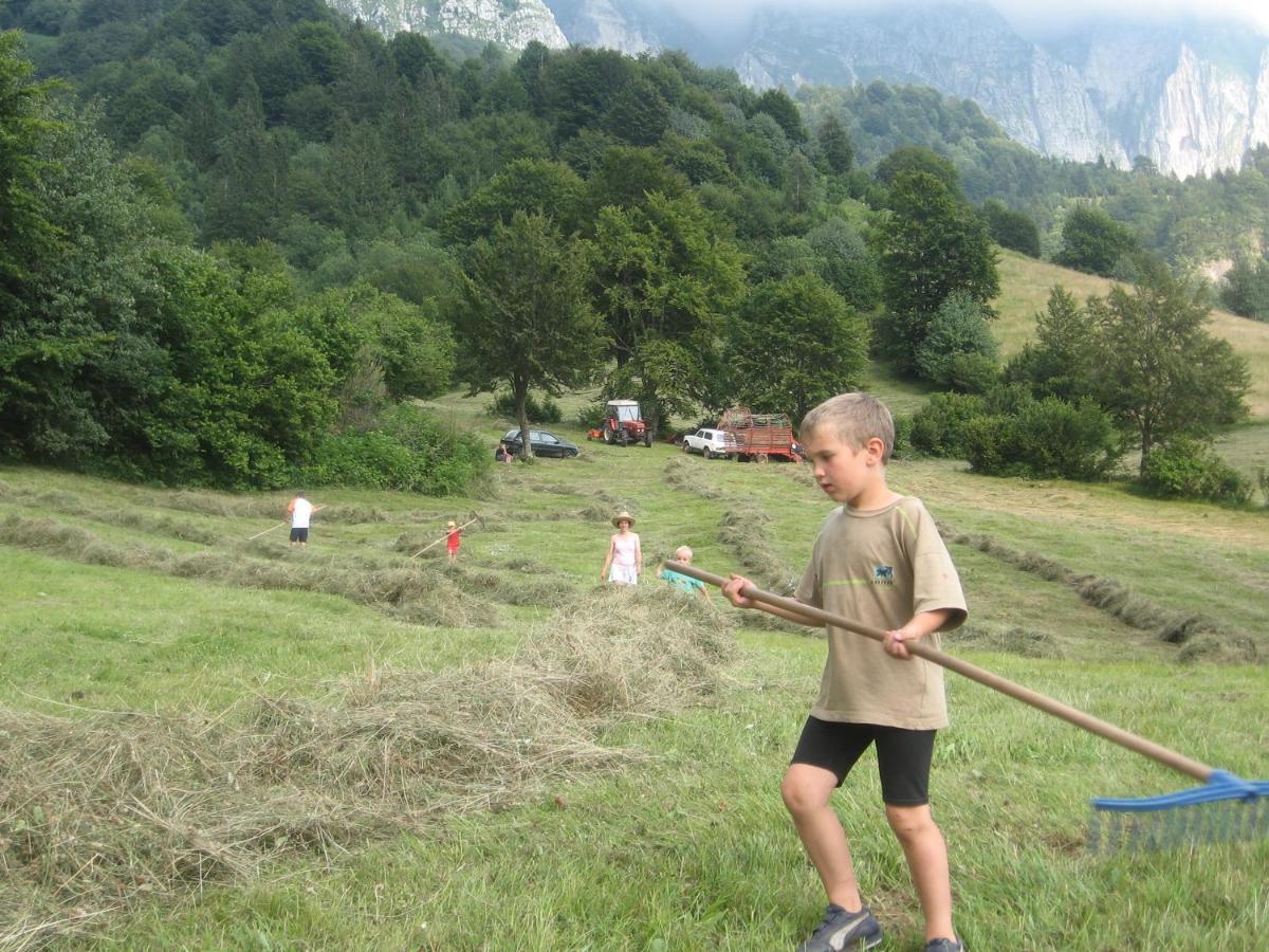 Tourist Farm Zvanc Кобарид Екстериор снимка